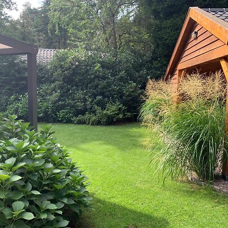 'T Holten Huus - Puur Genieten In Het Bos. Norg Bagian luar foto