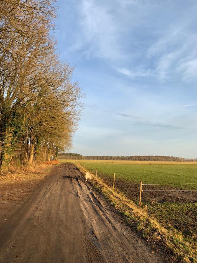 'T Holten Huus - Puur Genieten In Het Bos. Norg Bagian luar foto