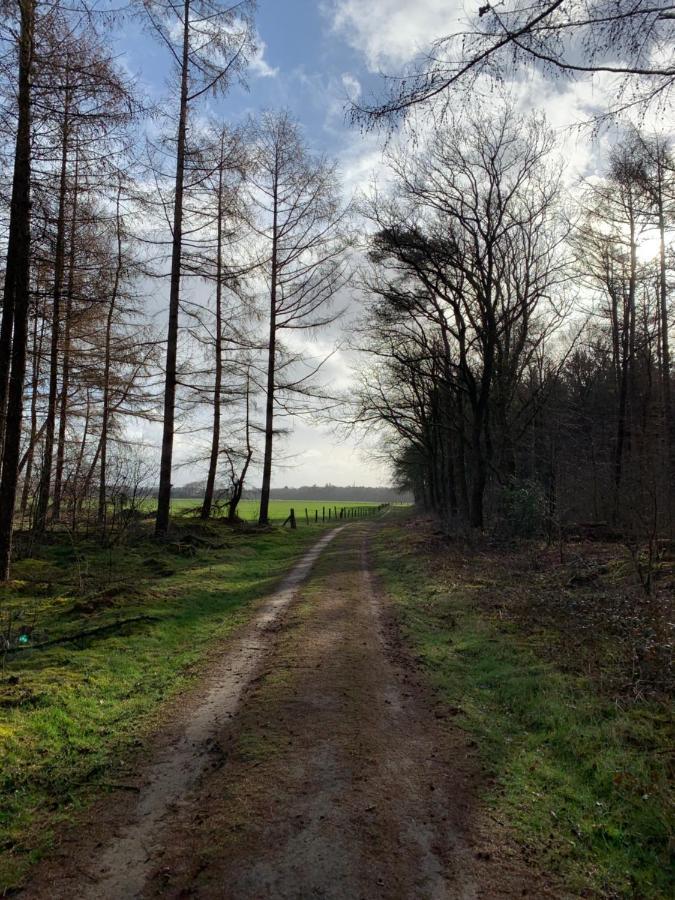 'T Holten Huus - Puur Genieten In Het Bos. Norg Bagian luar foto