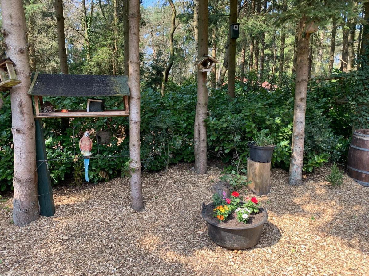 'T Holten Huus - Puur Genieten In Het Bos. Norg Bagian luar foto