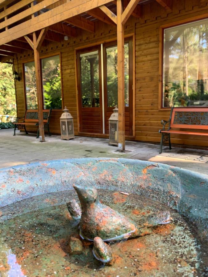 'T Holten Huus - Puur Genieten In Het Bos. Norg Bagian luar foto
