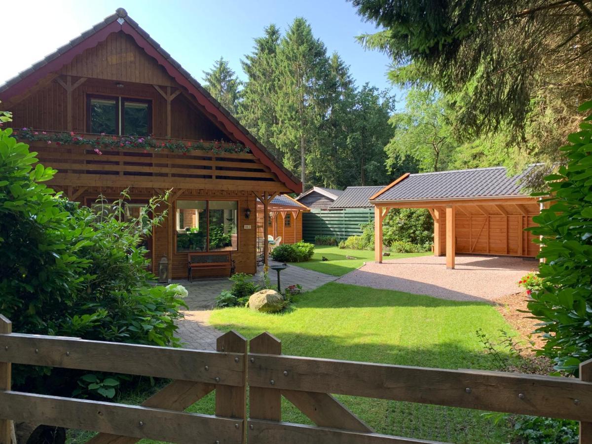 'T Holten Huus - Puur Genieten In Het Bos. Norg Bagian luar foto