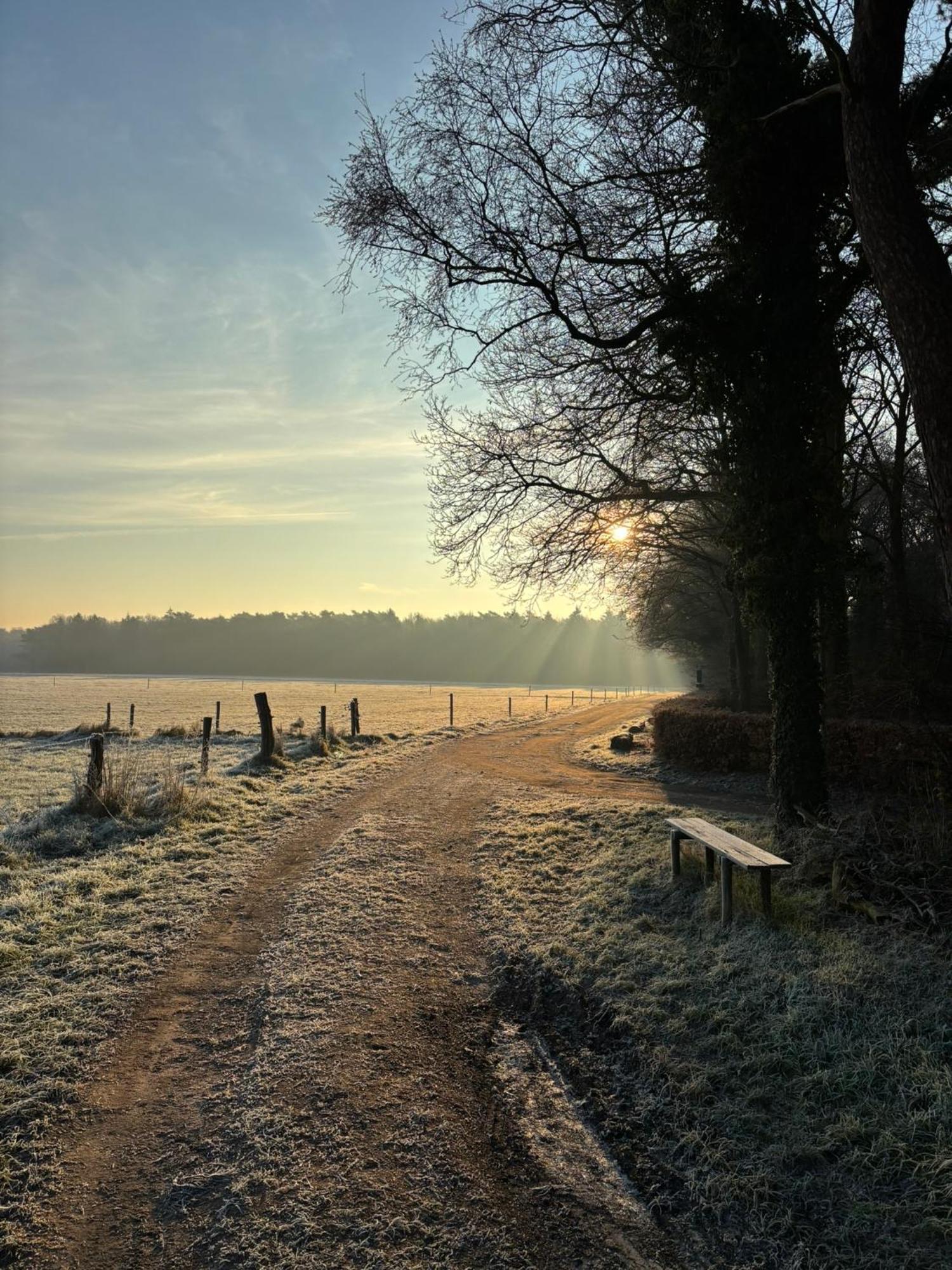 'T Holten Huus - Puur Genieten In Het Bos. Norg Bagian luar foto