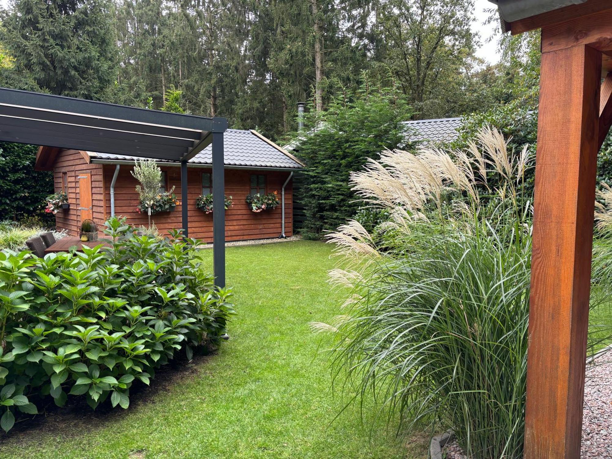 'T Holten Huus - Puur Genieten In Het Bos. Norg Bagian luar foto